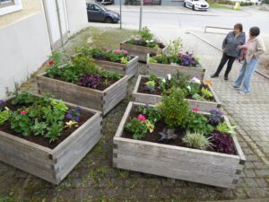 Sommerbepflanzung Marktplatz